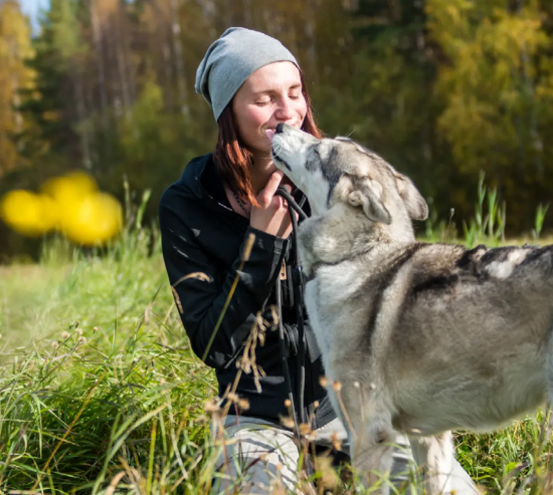 Husky