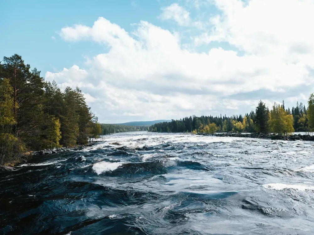 The Mårdseleforsen rapids