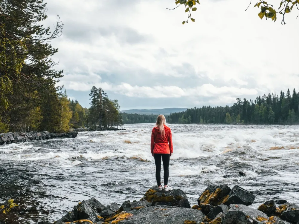 The Mårdseleforsen rapids