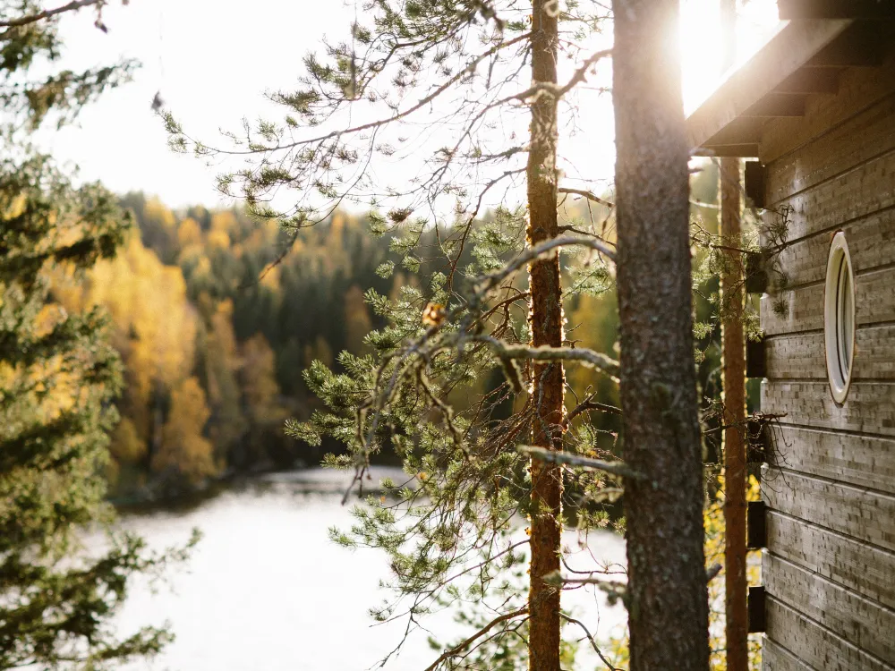 Yogaretreats Norrland